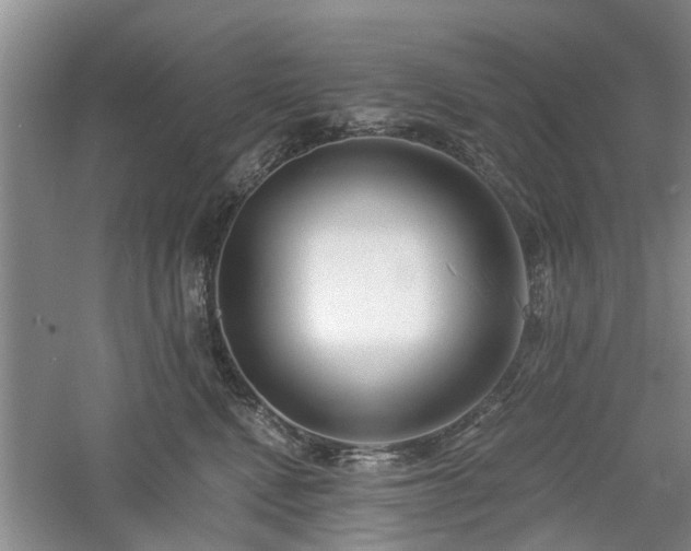 X0000061100472200511181108