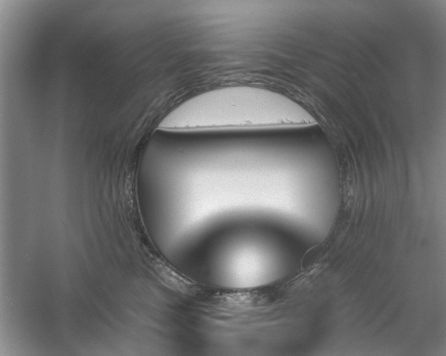 X0000061100473200511181108