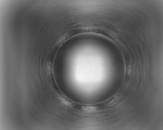 X0000061100476200511181108