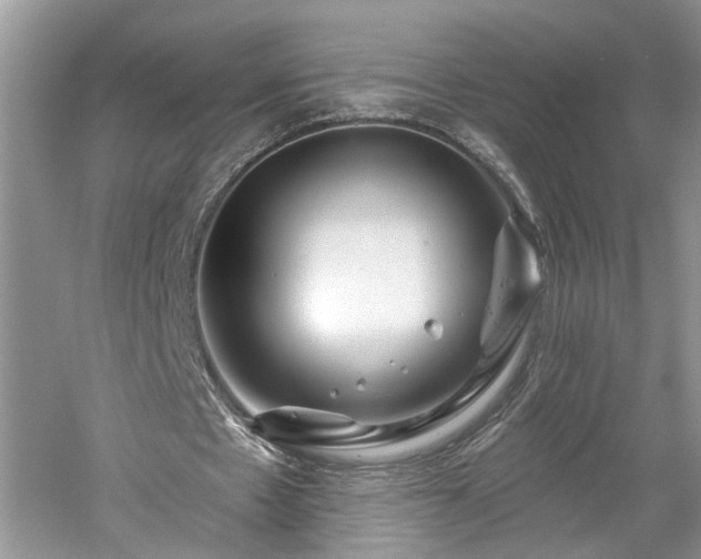 X0000061100481200511181107