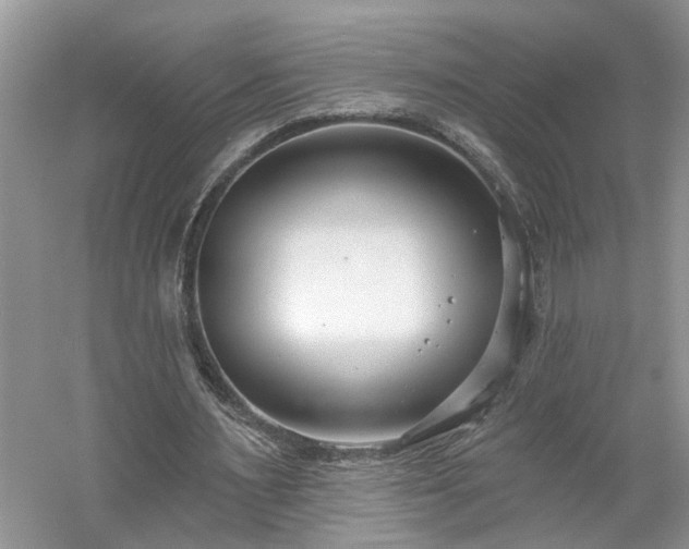 X0000061100483200511181107