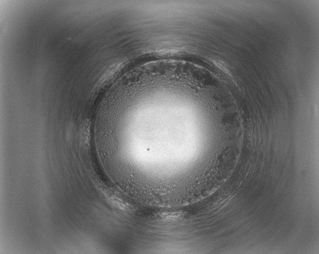 X0000061100495200511181107