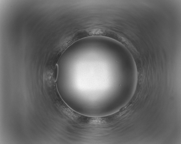 X0000061100521200511181107