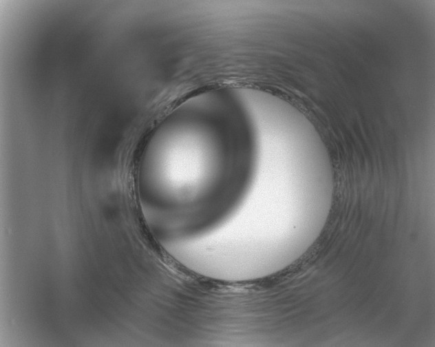 X0000061100523200511181107
