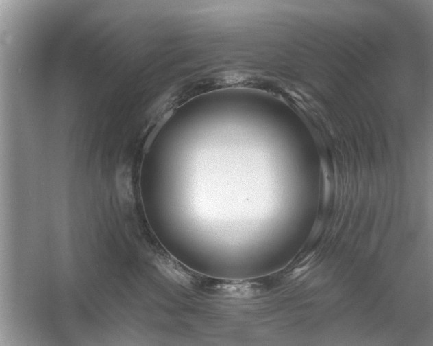 X0000061100524200511181107