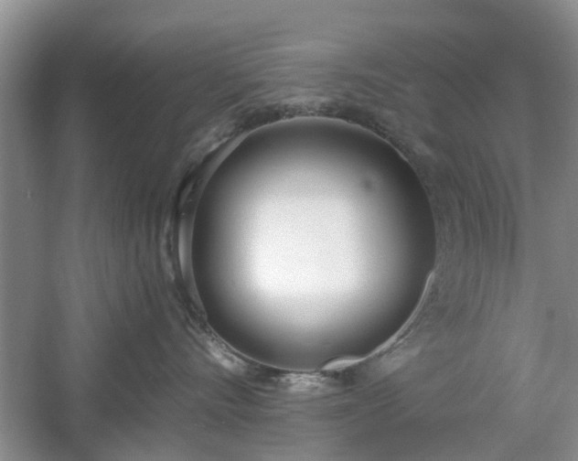 X0000061100528200511181107