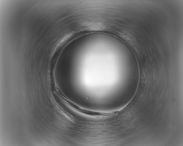X0000061100535200511181106