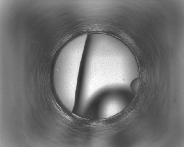 X0000061100537200511181106