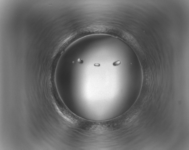 X0000061100538200511181106
