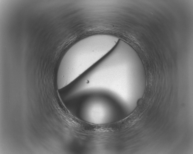 X0000061100545200511181106