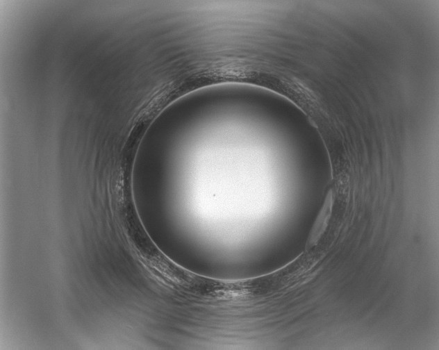 X0000061100552200511181106