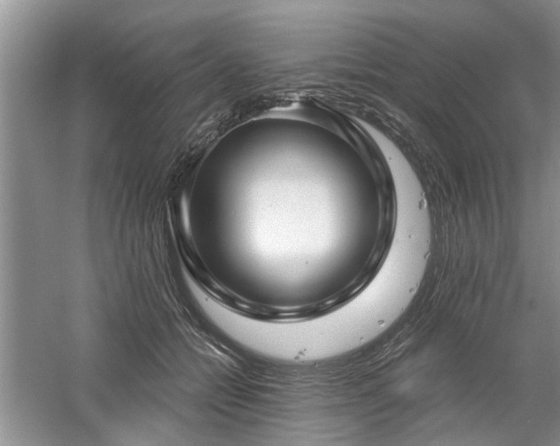 X0000061100558200511181106