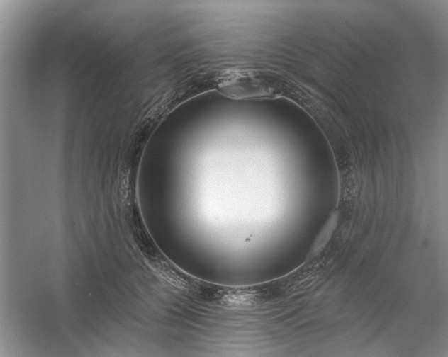 X0000061100560200511181106