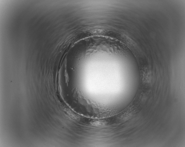 X0000061100561200511181106