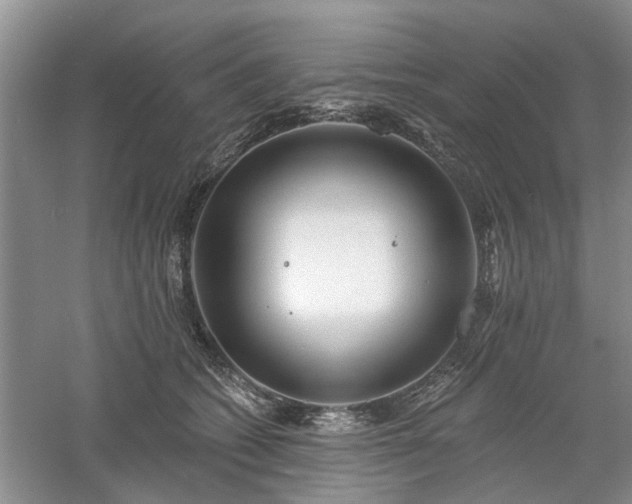 X0000061100562200511181106