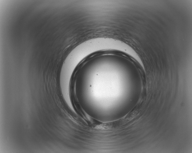 X0000061100568200511181106
