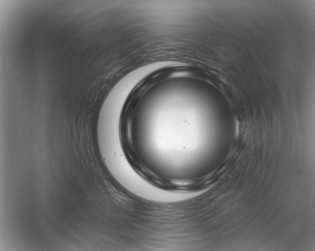 X0000061100570200511181106