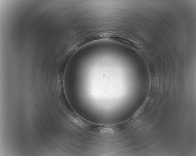 X0000061100572200511181106