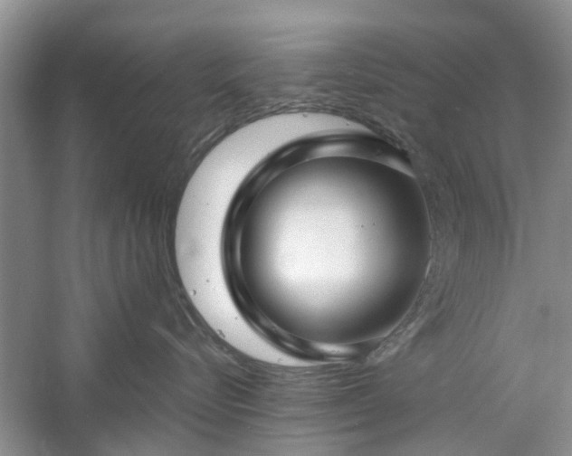 X0000061100576200511181107
