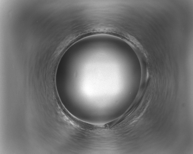 X0000061100577200511181106