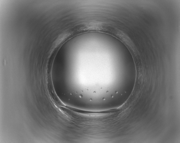 X0000061100578200511181106