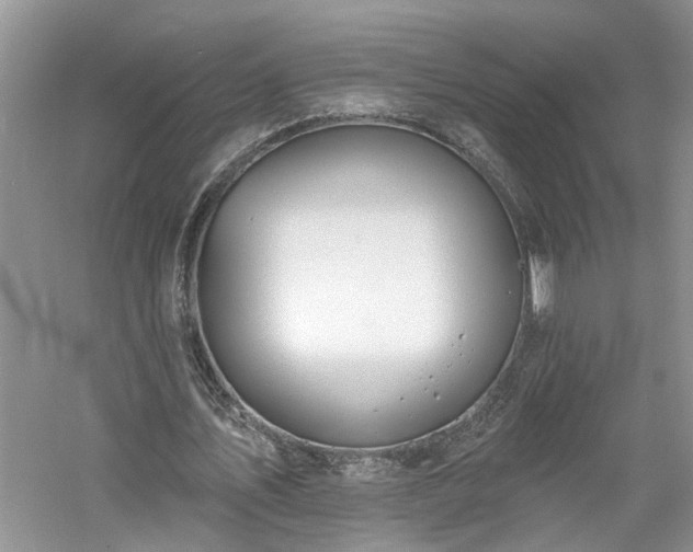 X0000061100579200511181106