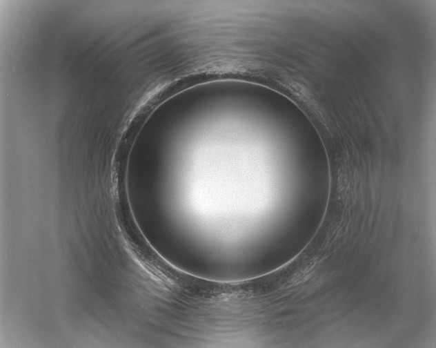 X0000061100584200511181106