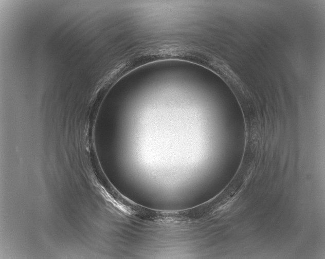 X0000061100585200511181106