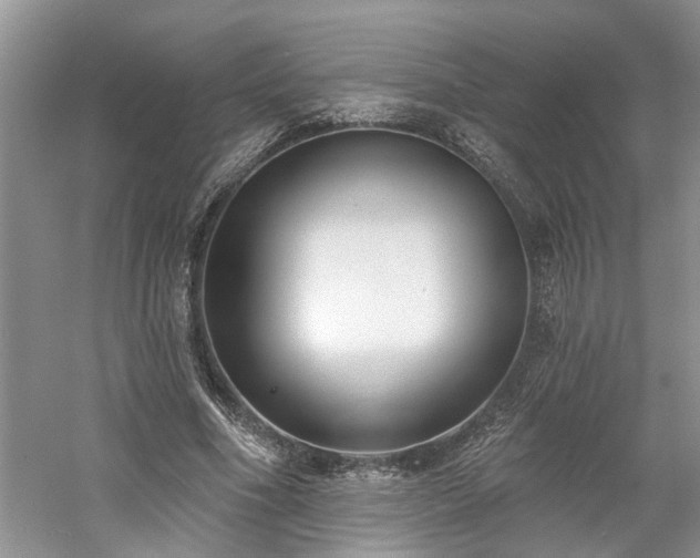 X0000061100586200511181106