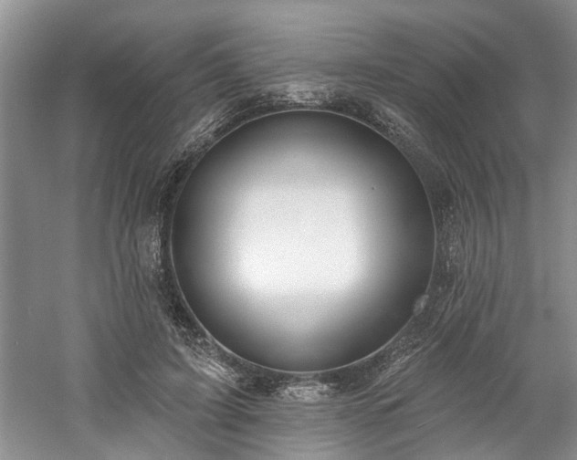 X0000061100595200511181105