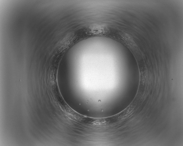 X0000061100606200511181105