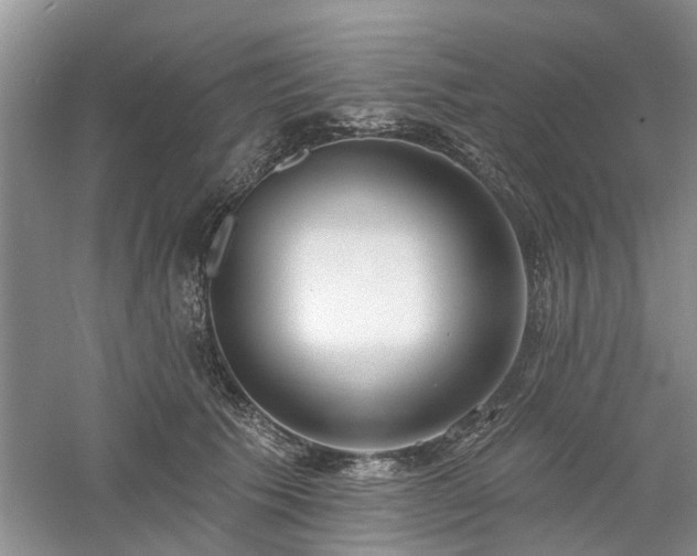 X0000061100609200511181105