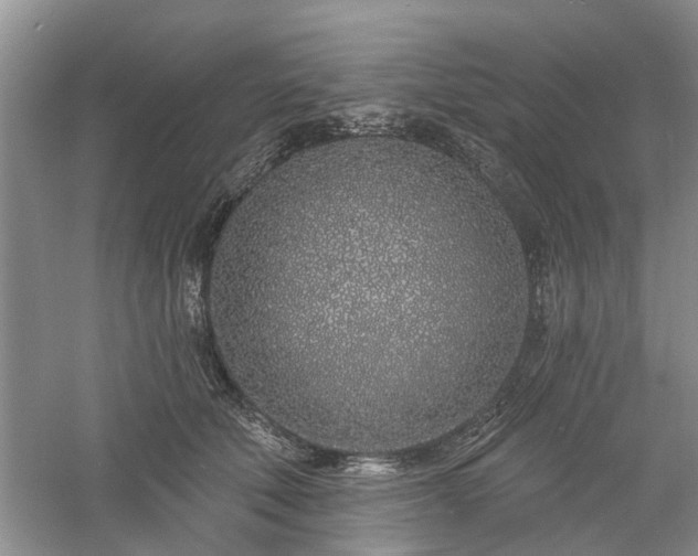 X0000061100610200511181105