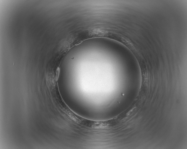 X0000061100617200511181105