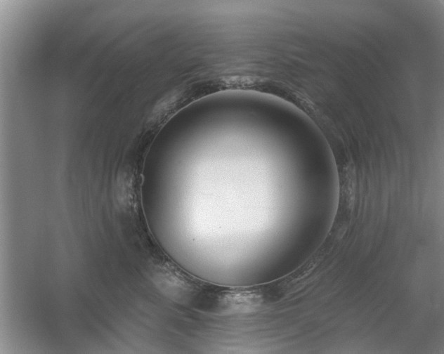 X0000061100619200511181105