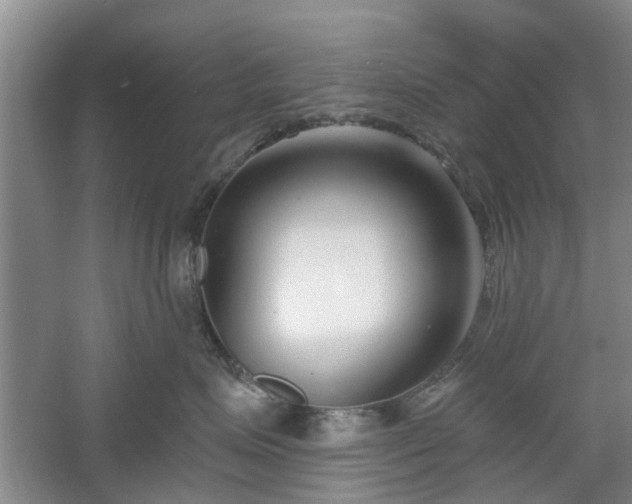 X0000061100623200511181105