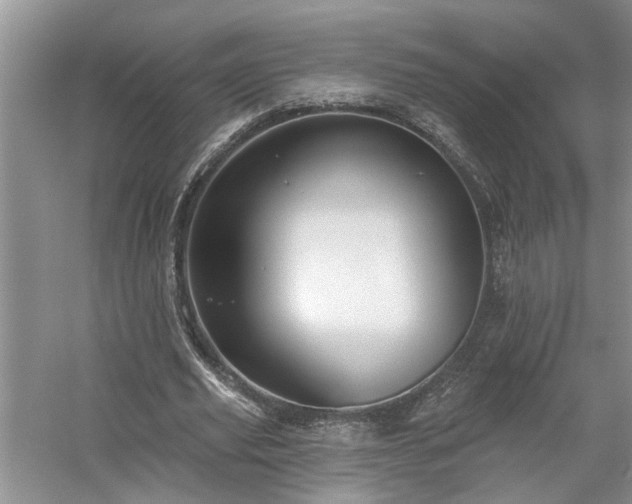 X0000061100629200511181104