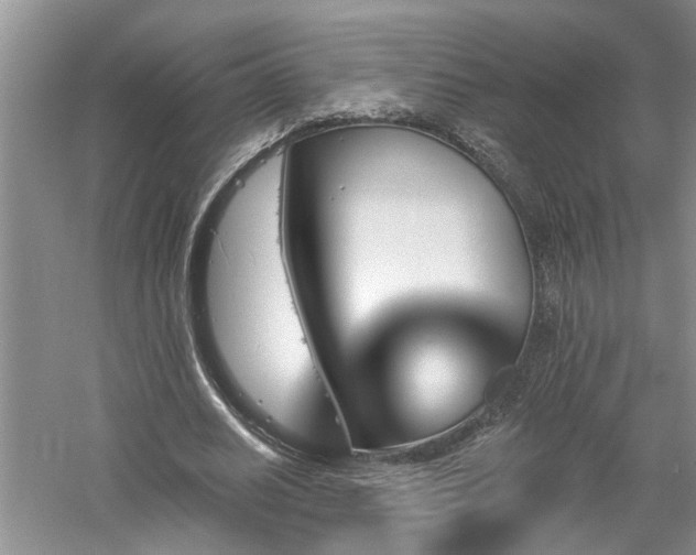 X0000061100630200511181104