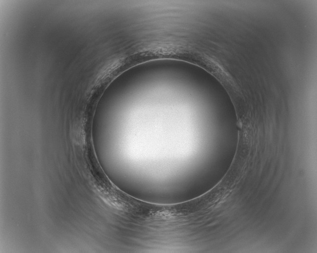 X0000061100635200511181104