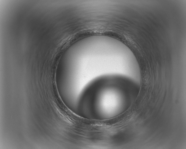 X0000061100639200511181104