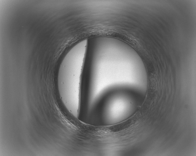 X0000061100642200511181104