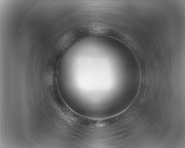 X0000061100647200511181104