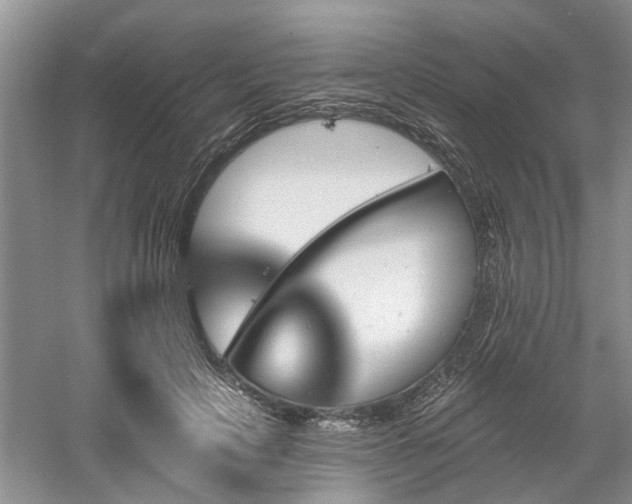 X0000061100649200511181104
