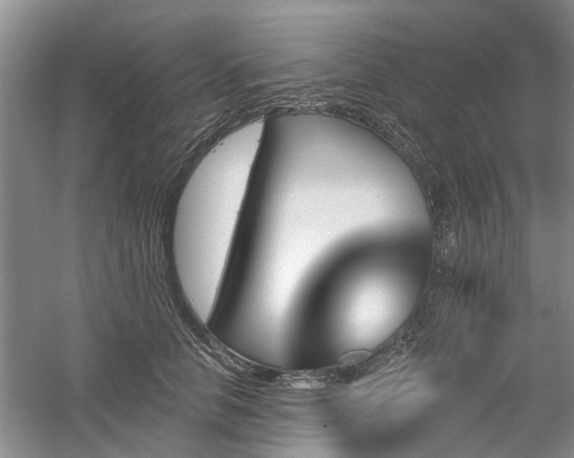 X0000061100658200511181105