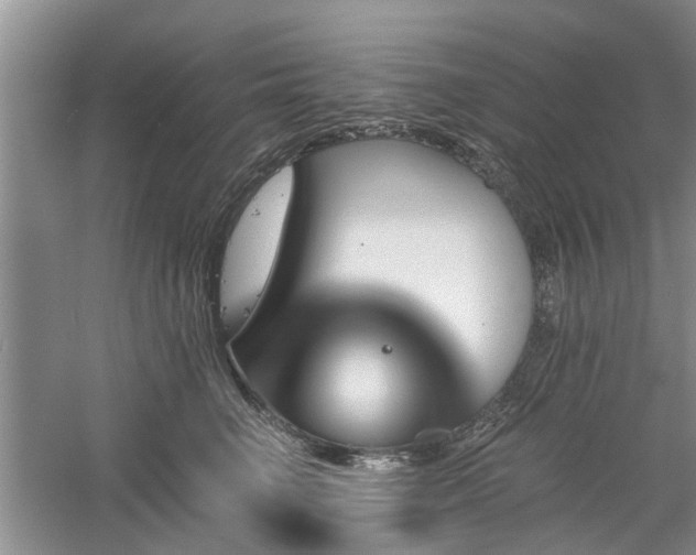 X0000061100662200511181105