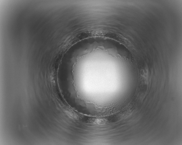 X0000061100663200511181105