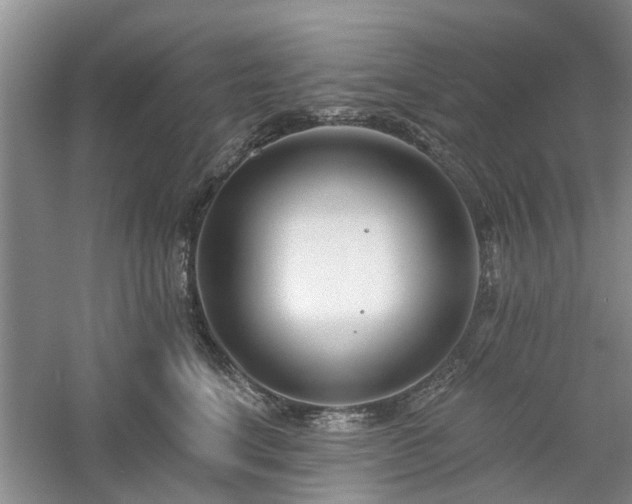 X0000061100664200511181105