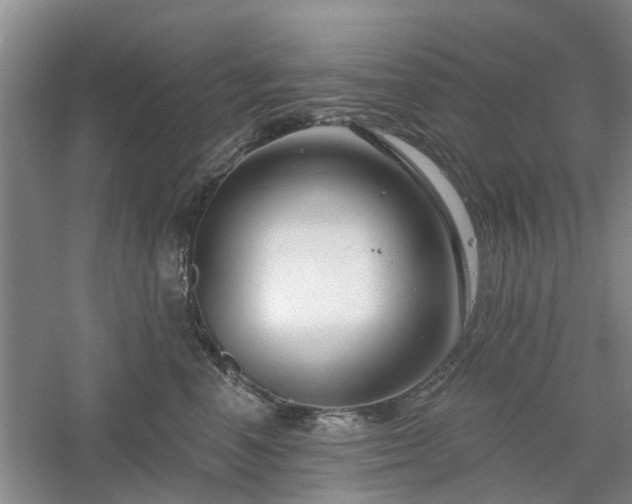 X0000061100666200511181105
