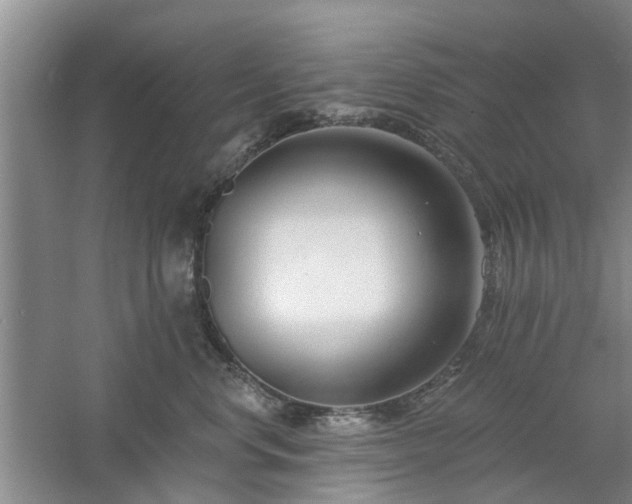 X0000061100668200511181105
