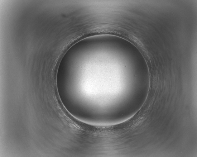 X0000061100673200511181104